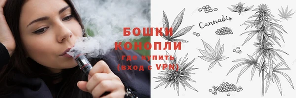 ECSTASY Строитель