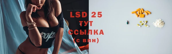 PSILOCYBIN Балабаново