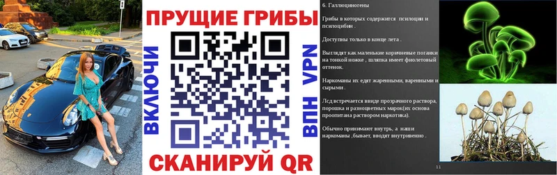 Псилоцибиновые грибы MAGIC MUSHROOMS  как найти закладки  Воскресенск 