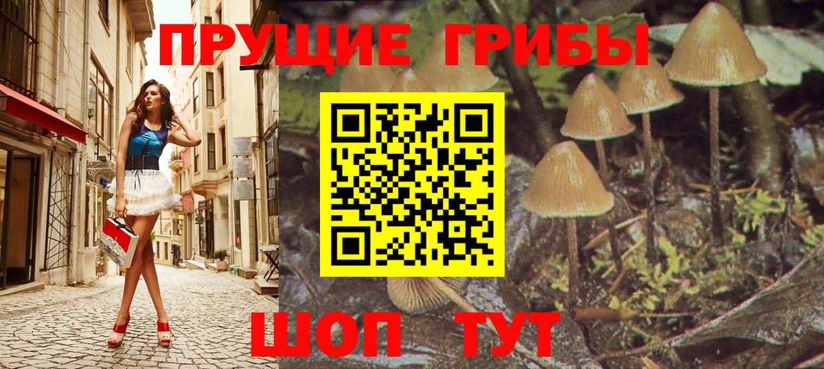 Галлюциногенные грибы Psilocybine cubensis  Вход с VPN  Воскресенск 