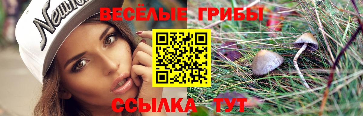 Галлюциногенные грибы Psilocybe Воскресенск